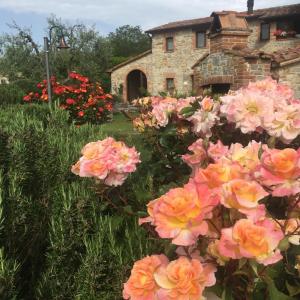 Un ramo de flores rosas y amarillas frente a un edificio en Agriturismo Valiana, en Montegabbione