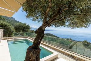 uma piscina com uma árvore no meio em Bolla D'Oro Luxury Villas em Spartýlas