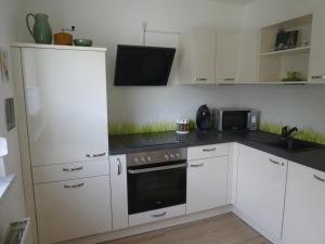 Η κουζίνα ή μικρή κουζίνα στο Ferienwohnung Mainz-Weisenau