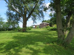 une cour avec des arbres et une maison en arrière-plan dans l'établissement Vakantiehuis aan De Mooie Nel, à Spaarndam