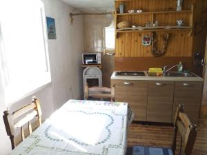 Кухня или мини-кухня в Apartman DINKO
