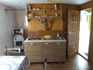 Кухня или мини-кухня в Apartman DINKO
