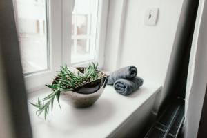 Fotografie z fotogalerie ubytování Wake Up Wellness Hostel v destinaci Brno