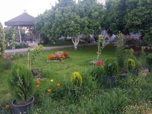 Zahrada ubytování Guesthouse Anila