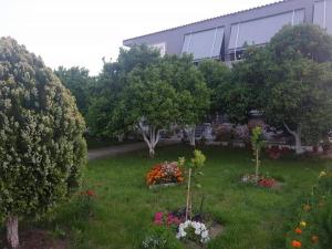 Zahrada ubytování Guesthouse Anila
