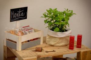 a table with a potted plant on top of it at B&B L'Arca Di Noè in La Spezia