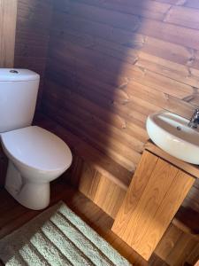 a bathroom with a toilet and a sink at Labrags Saulrieti in Jūrkalne