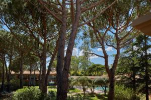 Сад в Villa Duflot Hôtel & Spa Perpignan