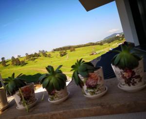 a group of potted plants sitting on a ledge with a green field at Apartman Maximus Zlatibor in Zlatibor