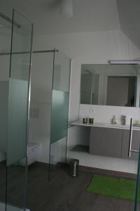 a bathroom with a glass shower and a sink at Aquarand in Hofstade