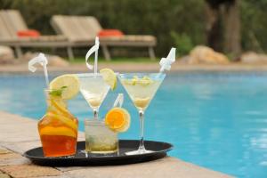 two cocktails on a tray next to a pool at Etosha Village in Okaukuejo