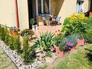 Vonkajšia záhrada v ubytovaní Karwia Pokoje & Apartamenty