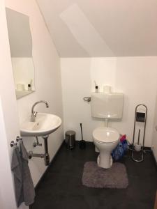 a bathroom with a toilet and a sink at Appartement GL24 in Sankt Margarethen bei Knittelfeld +3 photos
