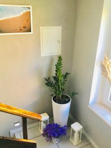 Fotografia z galérie ubytovania Karwia Pokoje & Apartamenty v destinácii Karwia