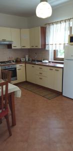 Kuchyň nebo kuchyňský kout v ubytování Apartmani Milenko Lubenice