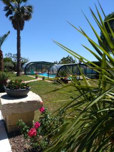 Montady的住宿－A l'Orée Des Vignes，享有鲜花花园和游泳池的景色