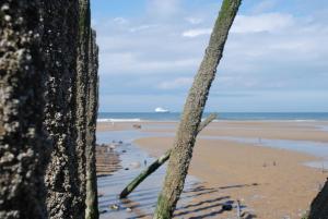 Foto dalla galleria di La Capelette a Escalles