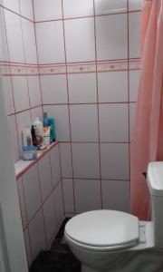 a bathroom with a toilet and a pink tiled wall at Casa Blanca Tu Casa in Santa Ana