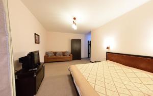 a bedroom with a bed and a tv and a couch at Zlata Inn in Tamchy