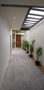 Fotografie z fotogalerie ubytování Suites and Art v destinaci Cancún