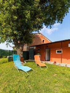 two chairs sitting in the grass under a tree at Vacation House "Andy" in Pula +17 photos