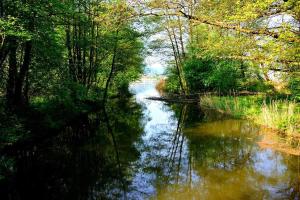 Príroda v okolí apartmánu