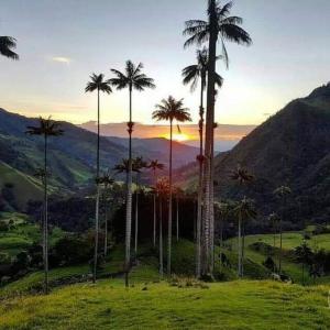 Imagen de la galería de Hospedaje El Buen Descanso, en Salento