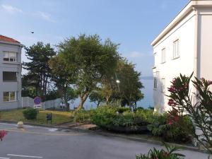 Zahrada ubytování D&M APARTMAN 1