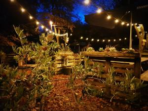 een 's nachts verlichte tuin met verlichting bij bosbAAr in Kluisbergen
