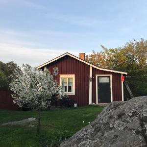 una casa roja con un árbol delante en Citymökki, en Kristinestad