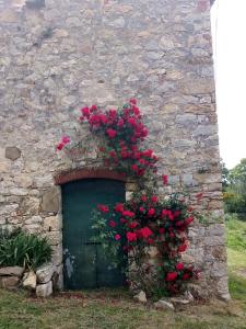 - un bâtiment en pierre avec une porte verte ornée de fleurs rouges dans l'établissement Magrignano, à Montieri