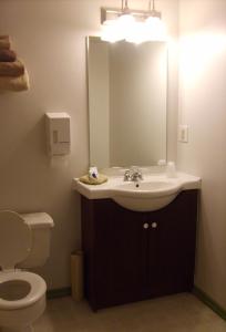 a bathroom with a toilet, sink and mirror at Town and Mountain Hotel in Whitehorse