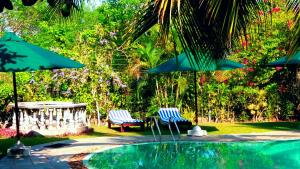 Gallery image of Asian Jewel Boutique Hotel in Hikkaduwa