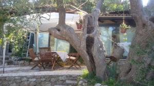 Vonkajšia záhrada v ubytovaní Limonaia in Salento