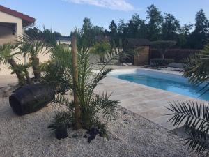 un palmier à côté d'une piscine dans l'établissement La Cigale, à La Ferté-Saint-Cyr