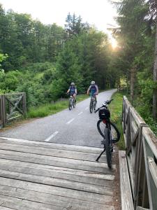 two people riding bikes down a road on a bridge at Villa Nena in Kranjska Gora
