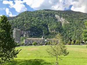 un campo verde con un edificio frente a una montaña en The Loft Interlaken, en Interlaken