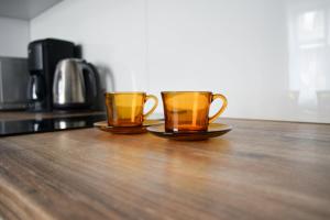 Príslušenstvo na prípravu kávy alebo čaju v ubytovaní ForRest Apartment Krynica