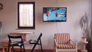 TV a/nebo společenská místnost v ubytování Apartments and Rooms Suzana
