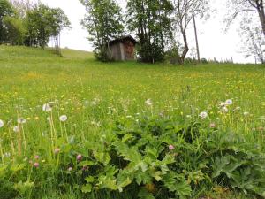 Ein Garten an der Unterkunft Haus Bergfried