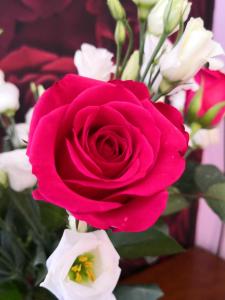 Afbeelding uit fotogalerij van Arches B&B in St Austell