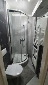 Kúpeľňa v ubytovaní Small Apartments Denisa Business