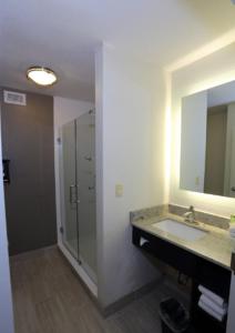 a bathroom with a sink and a shower and a mirror at Holiday Inn Express Brentwood-South Cool Springs, an IHG Hotel in Brentwood