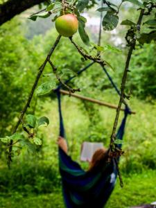 a person in a hammock hanging from an apple tree at Pod Klonem in Szczawnica