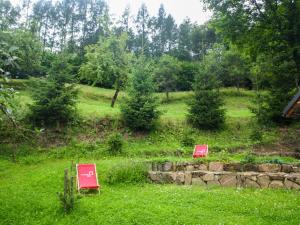 two red chairs sitting in a field of grass at Pod Klonem in Szczawnica +3 photos