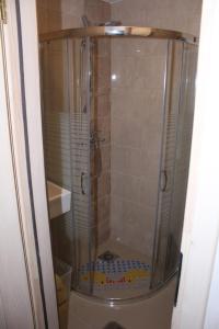 a shower with a glass door in a bathroom at Pod Jabłonią in Szczawnica