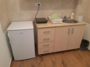 Köök või kööginurk majutusasutuses Apartmani Gmitrovic
