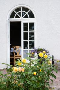 Zahrada ubytování Blommenhof Hotel