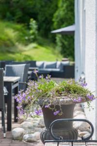 Zahrada ubytování Blommenhof Hotel