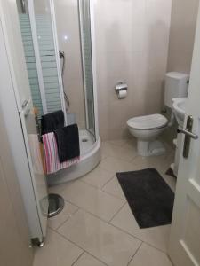 Kúpeľňa v ubytovaní Apartment Domines